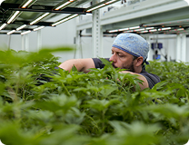 Stable Environment Management