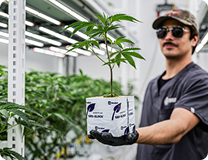 Receiving Your Clones