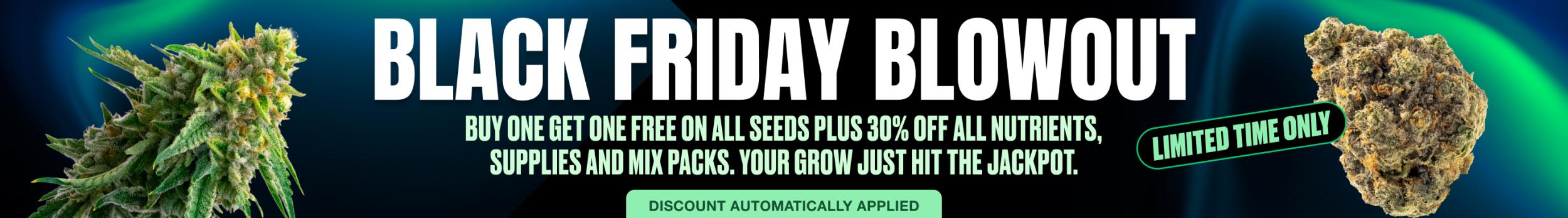 desktop black friday banner