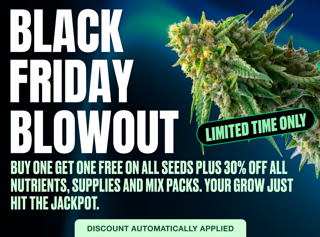 mobile black friday banner