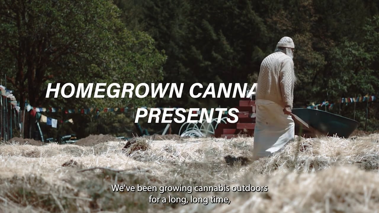 Grow Your Own Sun Grown Cannabis at Home with Swami Select | Homegrown Cannabis Co.