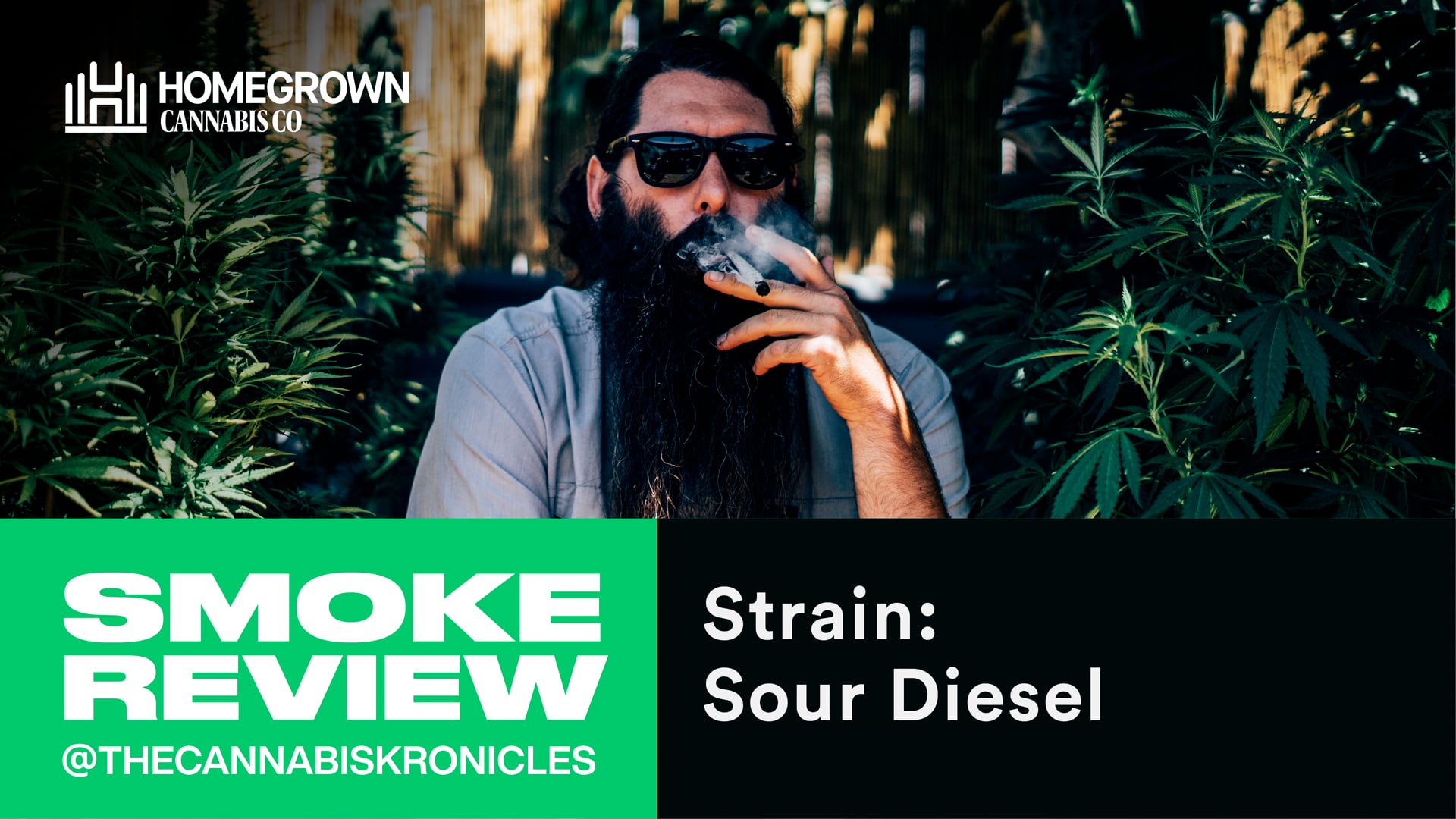  Sour Diesel Cannabis Strain Review | Homegrown Cannabis Co.
