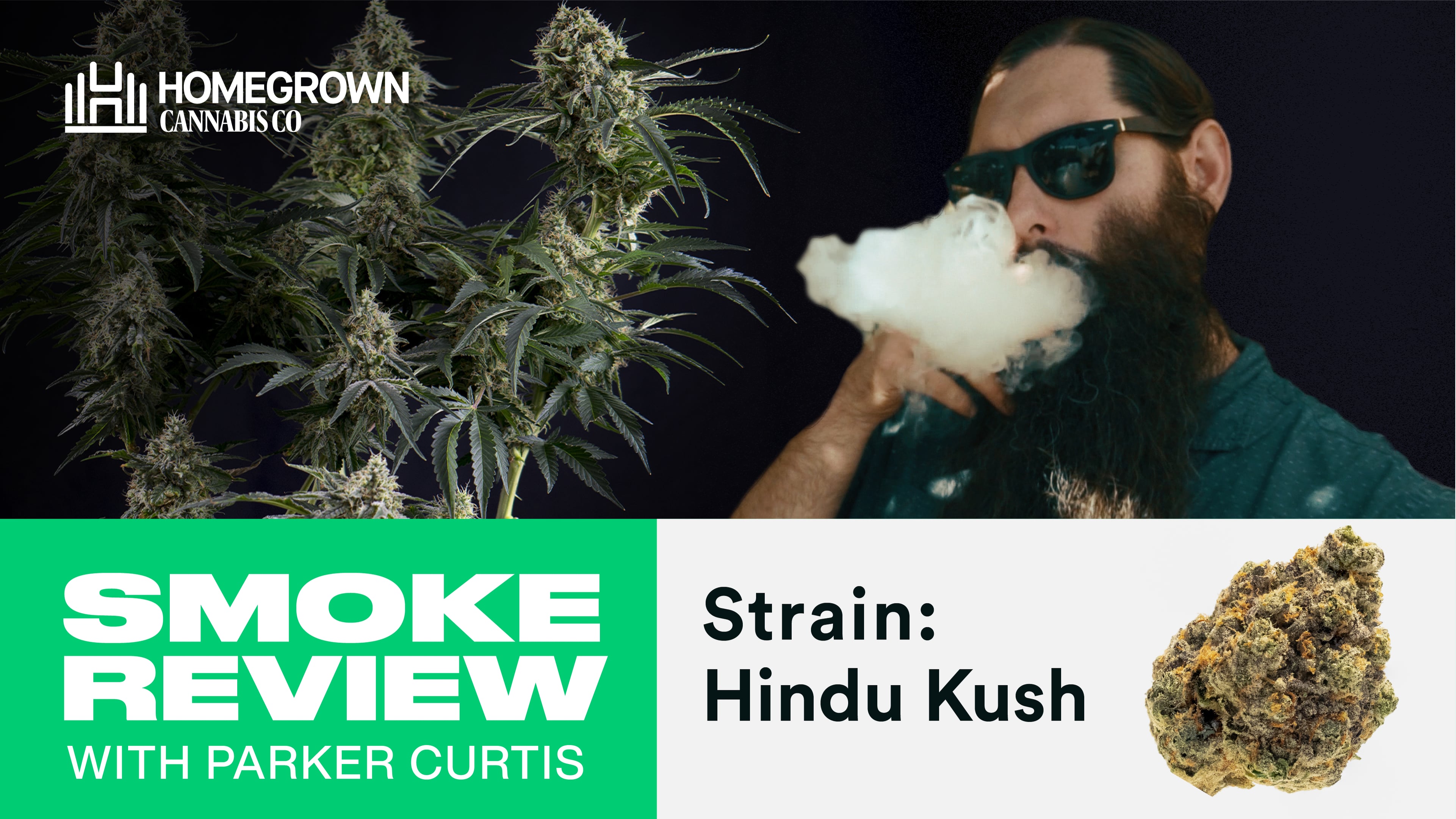 Hindu Kush Strain Review | Homegrown Cannabis Co