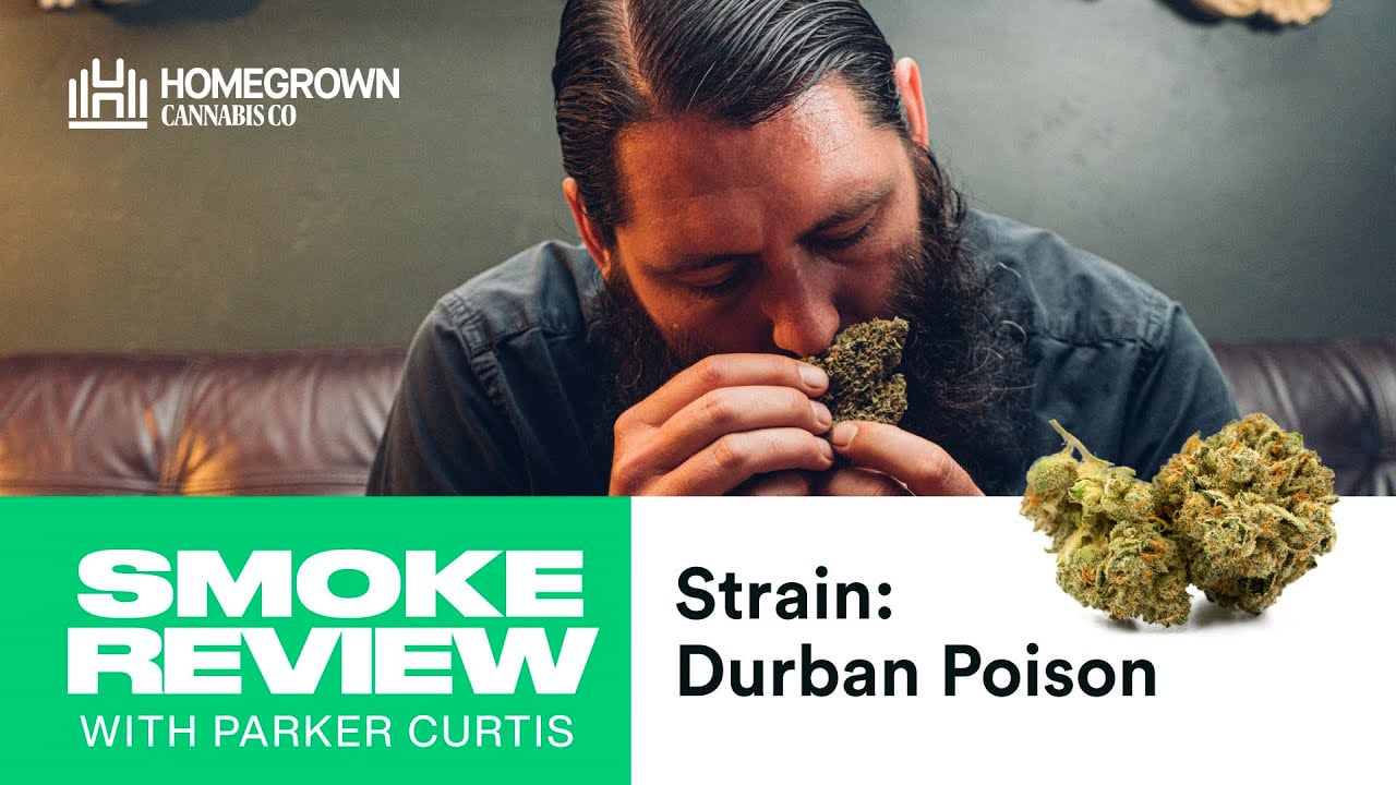 Durban Poison Sativa Landrace Strain Review | Homegrown Cannabis Co.