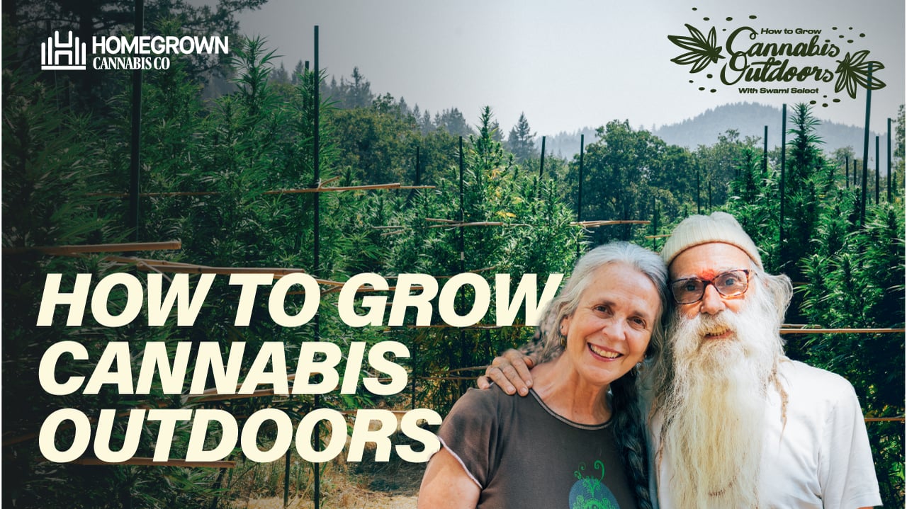 How to Grow Cannabis Outdoors - EP1 Starting Out | Homegrown Cannabis Co.