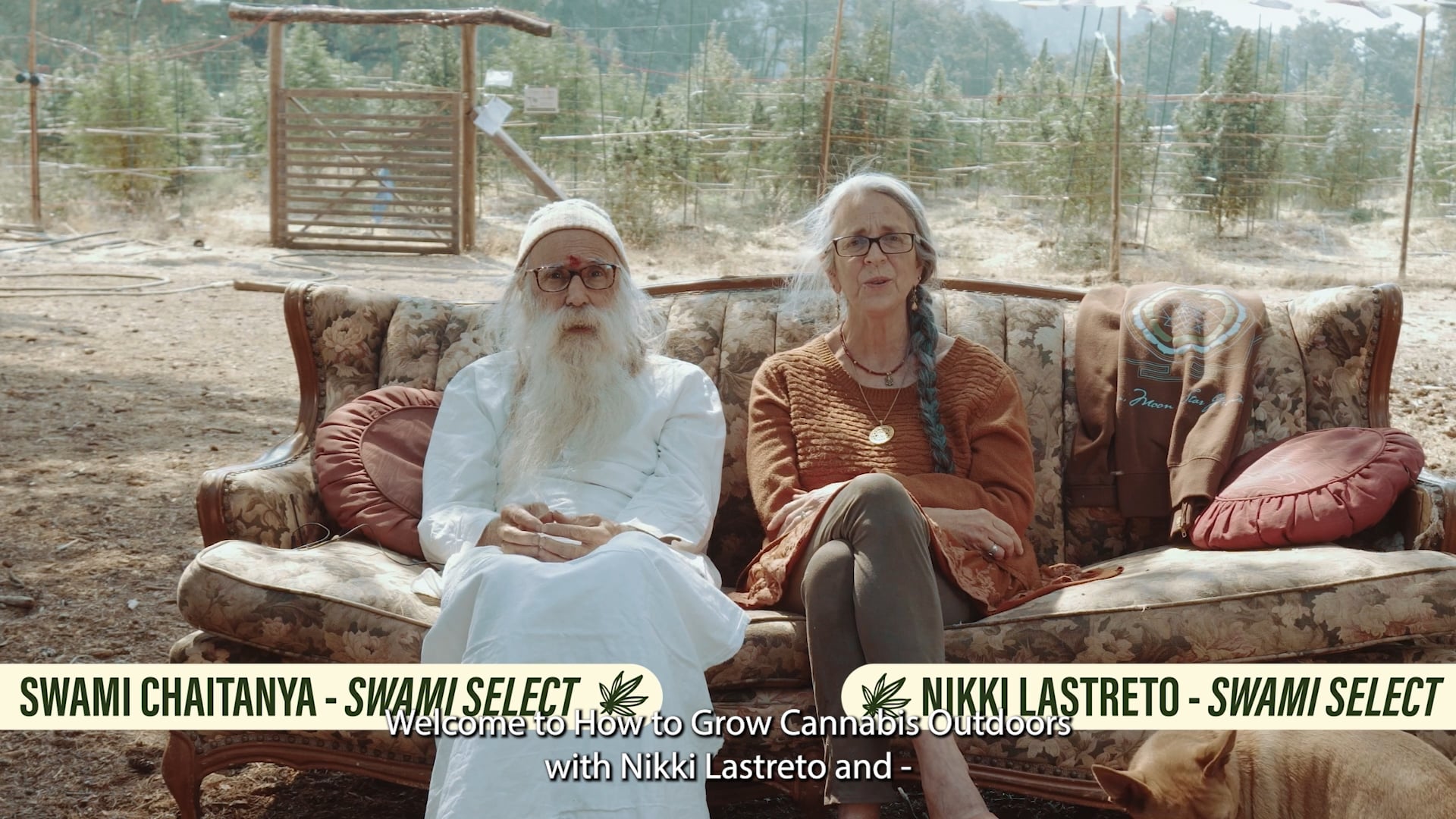 How to Grow Cannabis Outdoors with Nikki and Swami - A Complete Guide | Homegrown Cannabis Co.