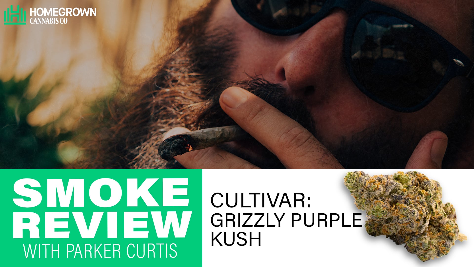 Grizzly Purple Kush Strain Review by Parker Curtis | Homegrown Cannabis Co.