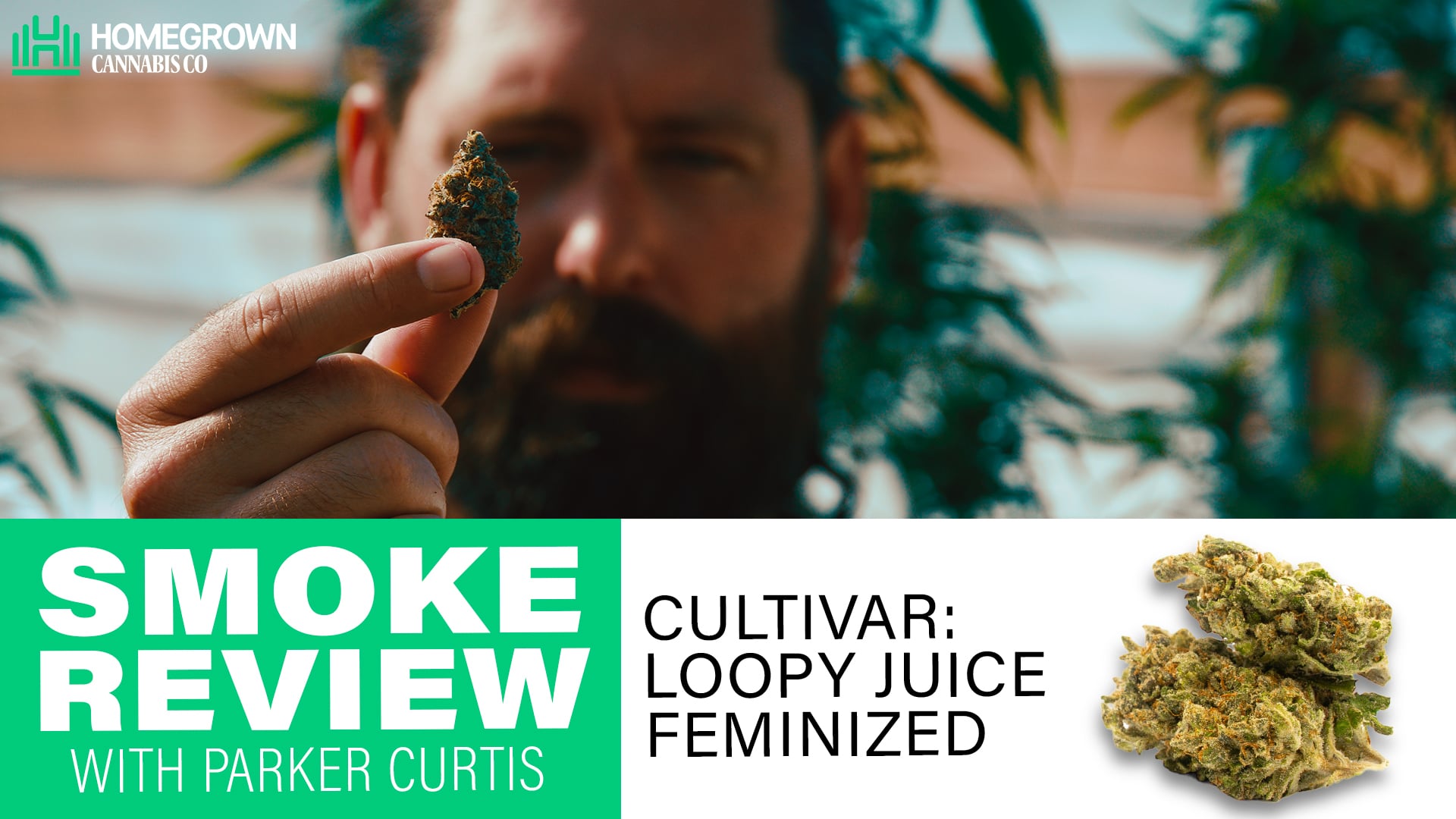 Loopy Juice Feminized Smoke Review | Parker Curtis | Homegrown Cannabis Co.
