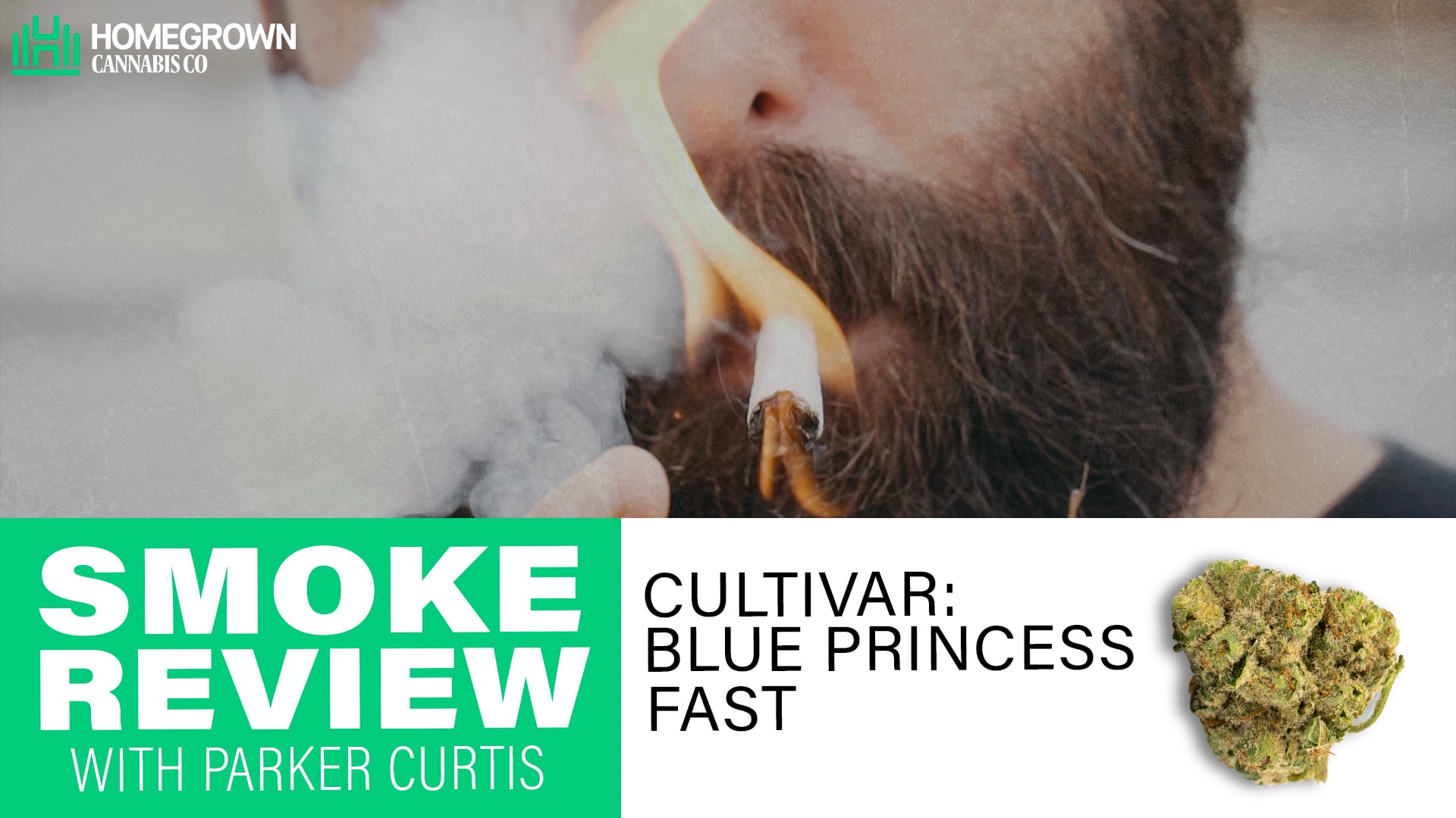 Blue Princess Fast Version Smoke Review | Homegrown Cannabis Co.