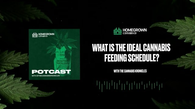The Ideal Cannabis Feeding Schedule — Homegrown Cannabis Co.