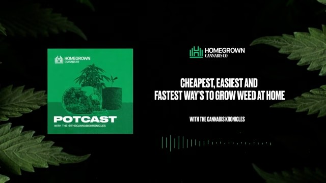 Cheapest, Easiest & Fastest Ways To Grow Weed at Home — Homegrown Cannabis Co.