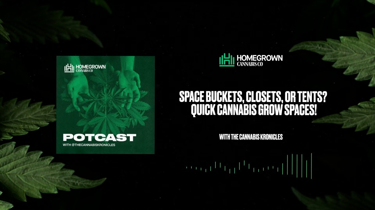 Easy Indoor Cannabis Grow Spaces — Space Buckets, Closets & Tents — Homegrown Cannabis Co.