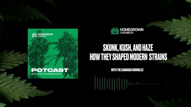 How Skunk, Kush & Haze Shaped Modern Cannabis — Homegrown Cannabis Co.
