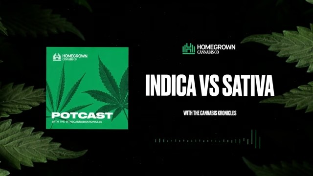  Indica vs Sativa Explained — Homegrown Cannabis Co.
