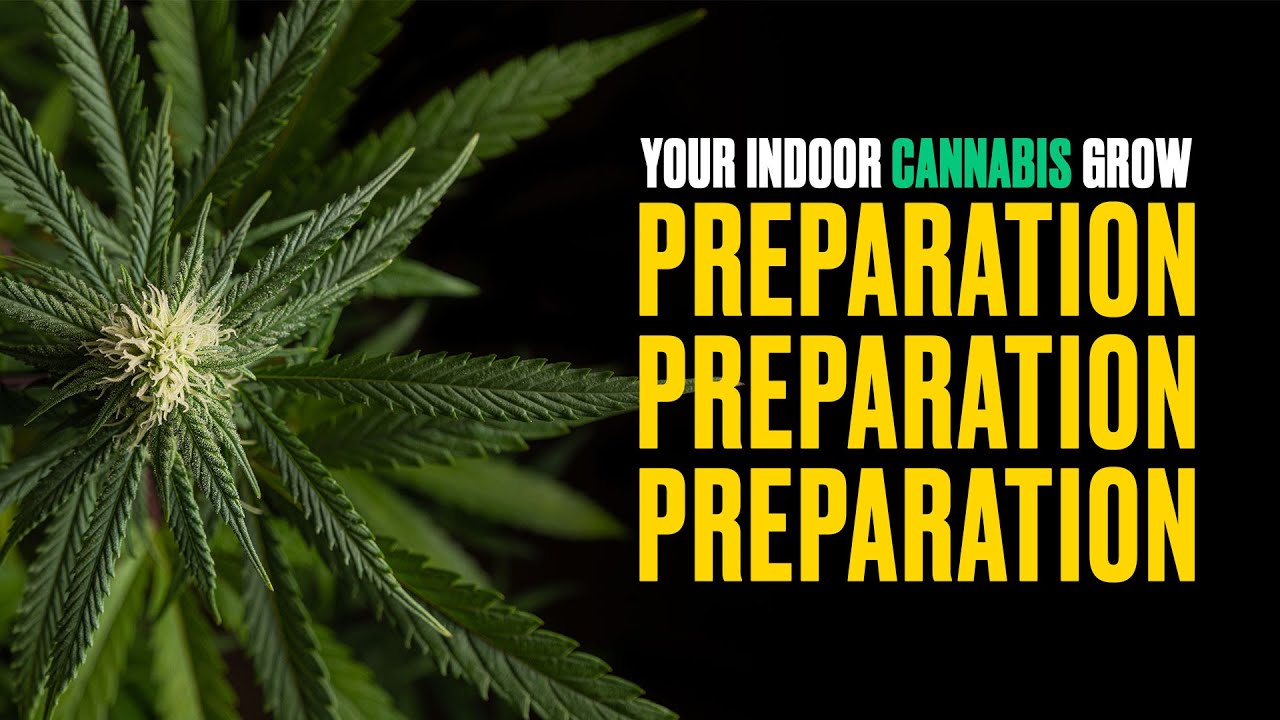 Avoid rookie mistakes and set up your grow room the pro way