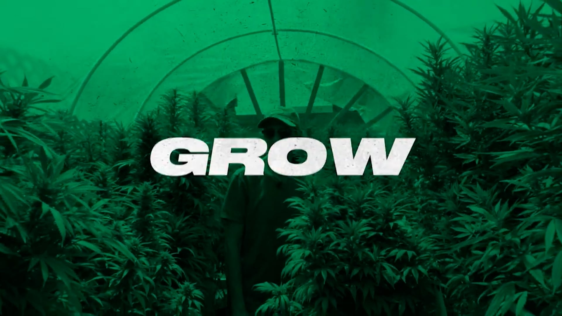 Eric Brandstad — light deprivation and greenhouse expert — Homegrown Cannabis Co.