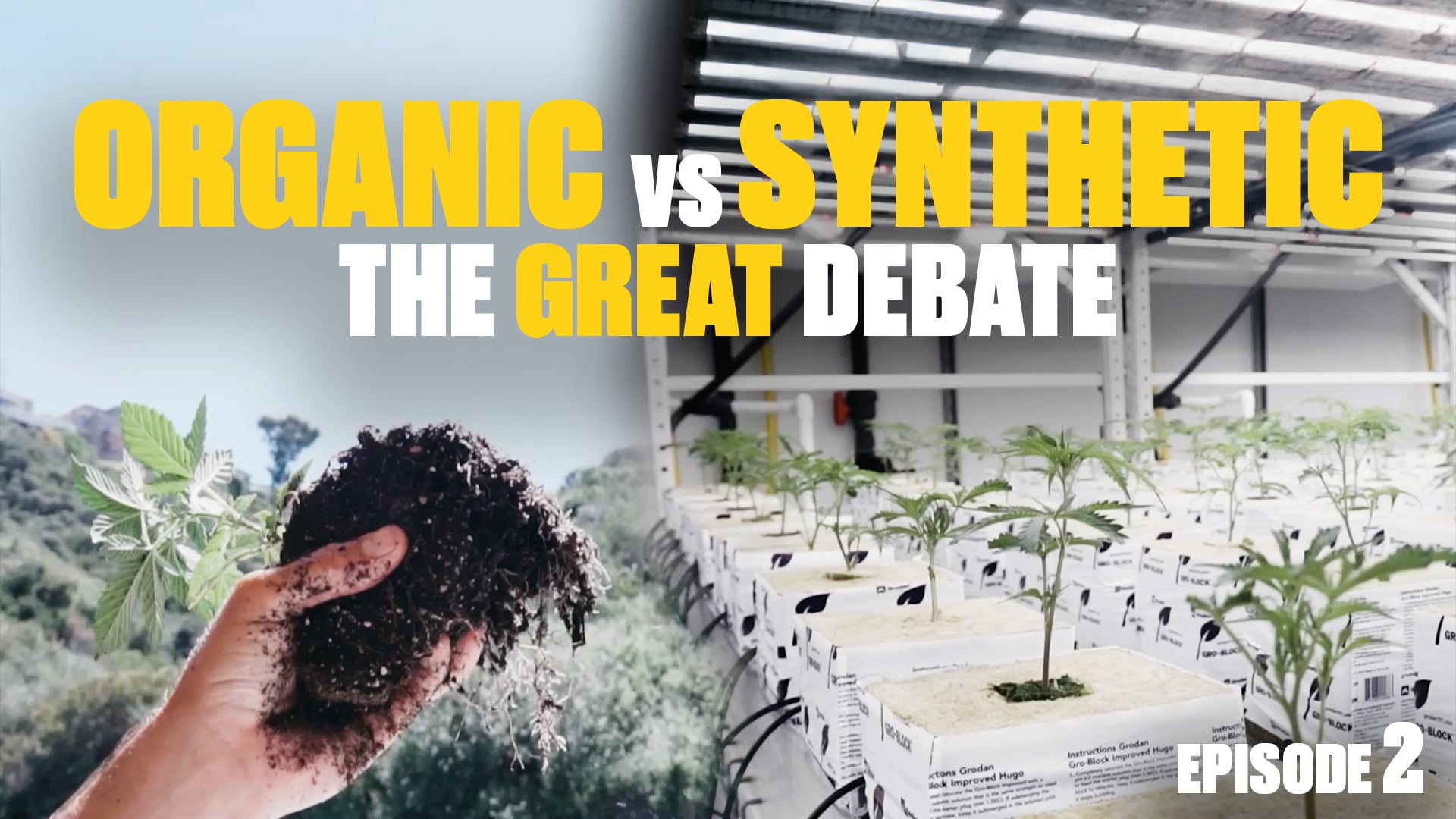 Organic vs Synthetic Growing – Ease, Automation & Beginner Tips | Ep 2