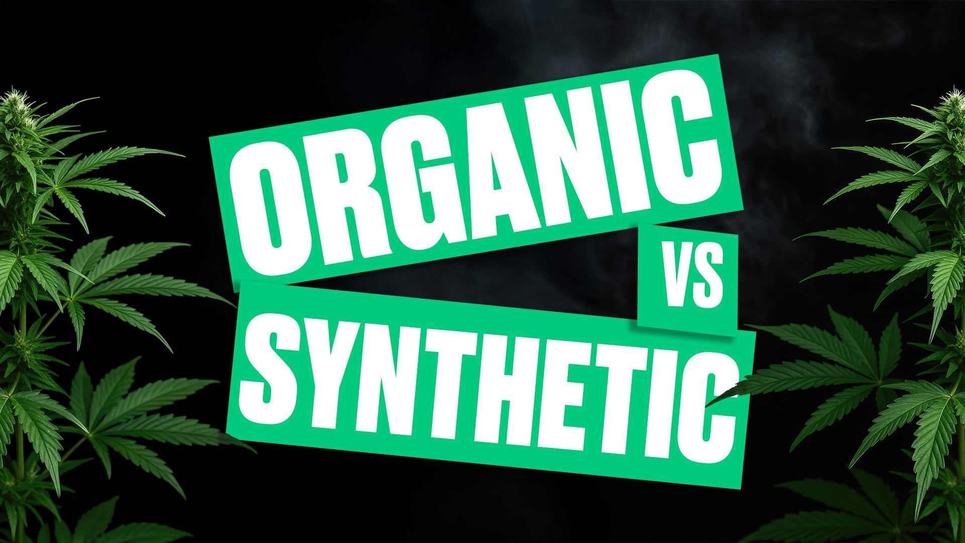 Organic vs Synthetic Cannabis Nutrients Explained — Homegrown Cannabis Co.