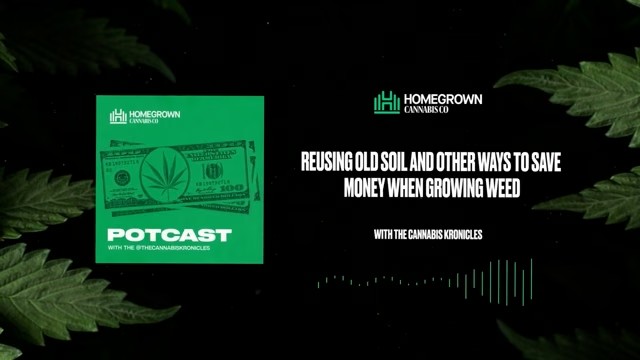 Reusing Old Soil & Saving Money Growing Cannabis — Homegrown Cannabis Co.