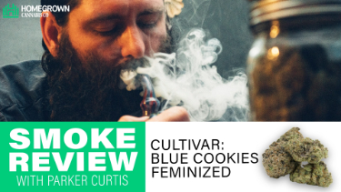 Reviewing Blue Cookies with Parker Curtis from Homegrown Cannabis Co.