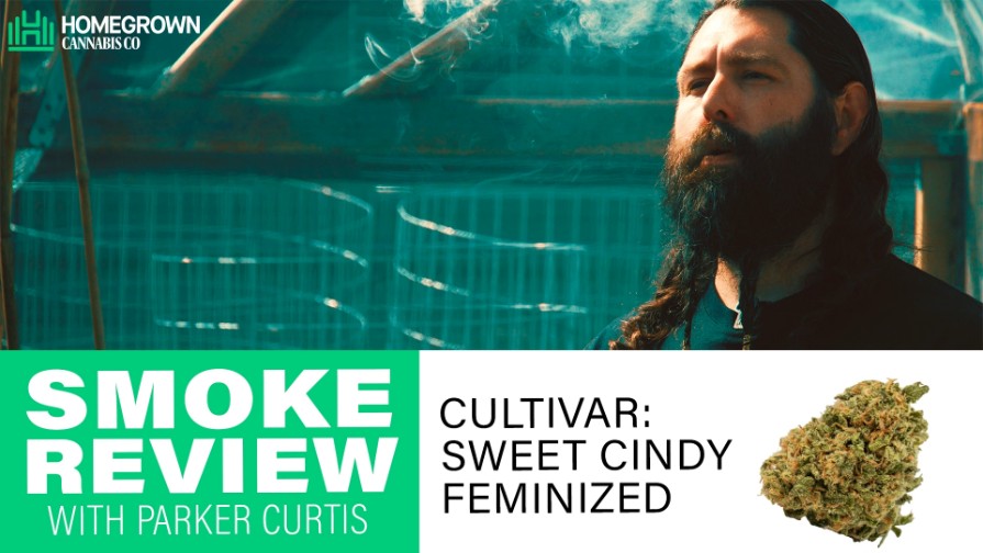 Reviewing Sweet Cindy with Parker Curtis from Homegrown Cannabis Co.