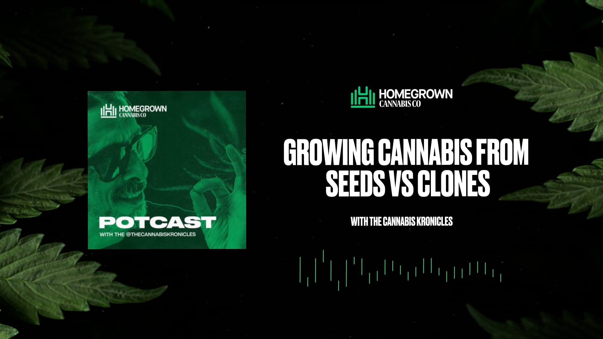 Cannabis Seeds vs Clones pros and cons — Homegrown Cannabis Co.