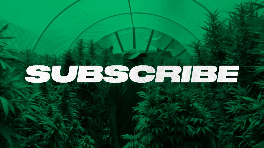 Beginner Hydroponic Cannabis Cultivation with Visionary Hydroponics — Homegrown Cannabis Co.