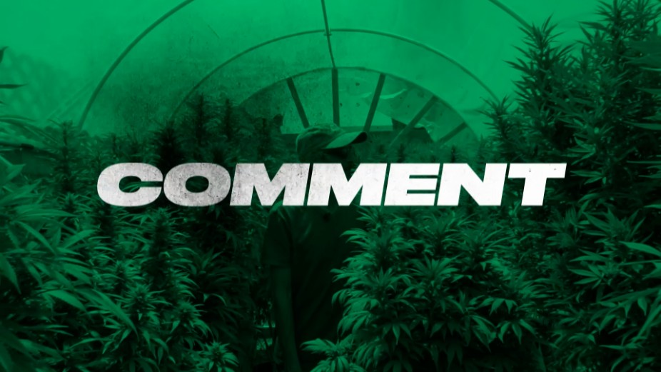 Reverse Pollinating Female Cannabis Plants — Homegrown Cannabis Co.