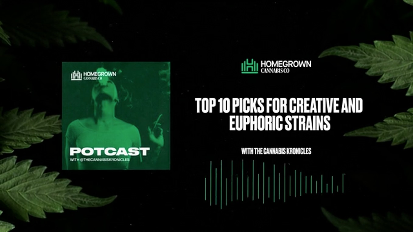 Top 10 Creative & Euphoric Cannabis Strains — Homegrown Cannabis Co.