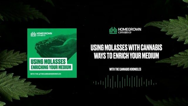 Molasses for Cannabis & Enriching Your Soil — Homegrown Cannabis Co.