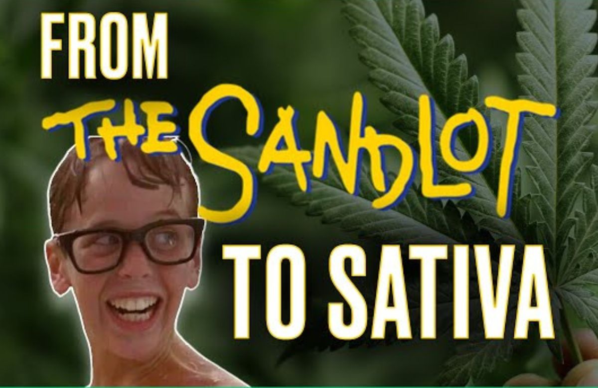 Hollyweed - Sandlot to Sativa 