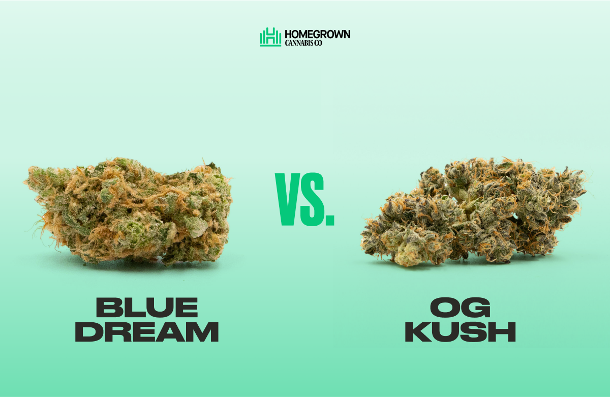 Blue Dream Vs. OG Kush