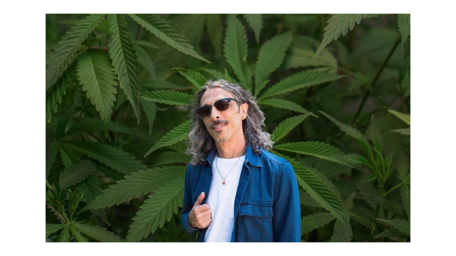 Leafwell Features Kyle Kushman on Mastering Home Cannabis Cultivation