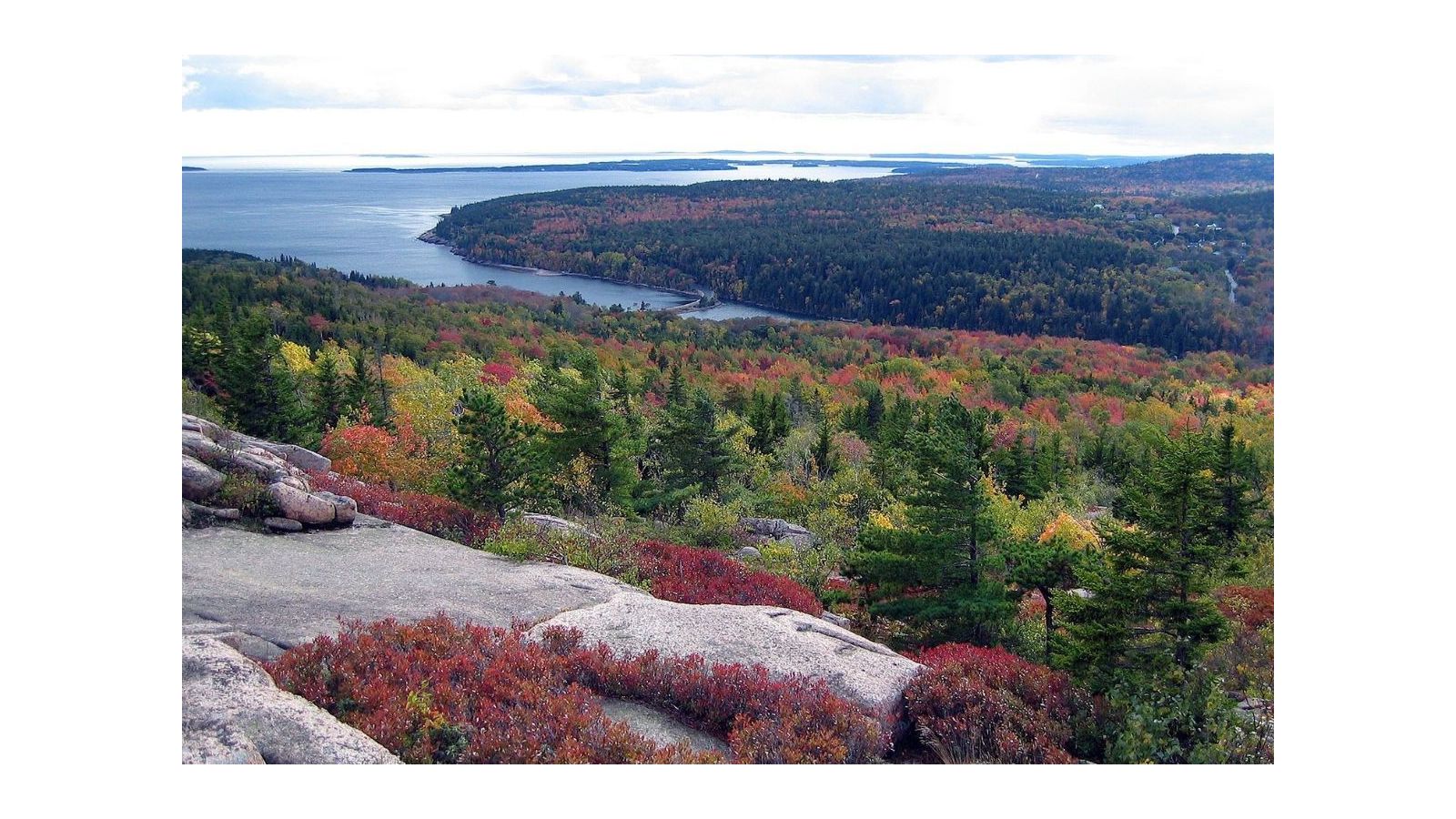 Best Strains to Grow in the Northeast