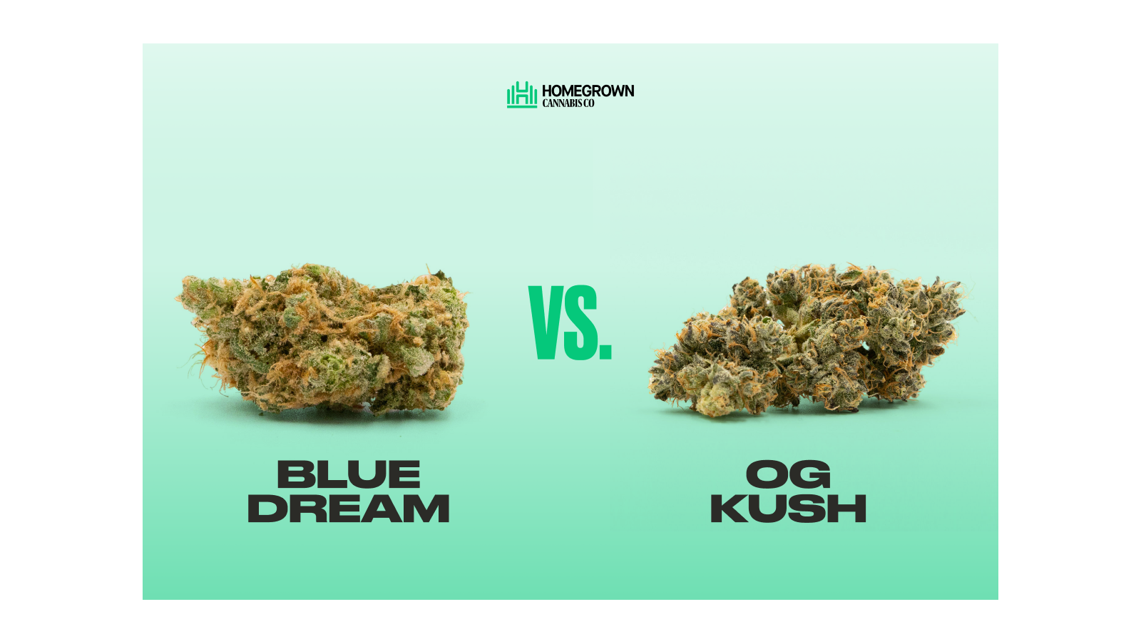 Blue Dream Vs. OG Kush
