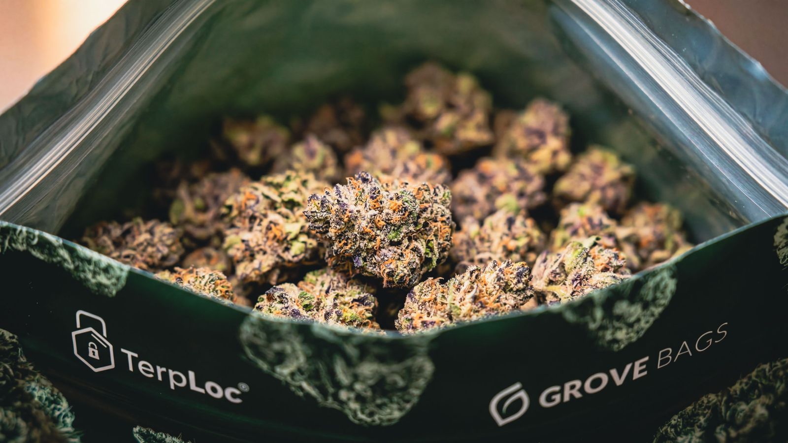 Cannabis buds in a grove bag.