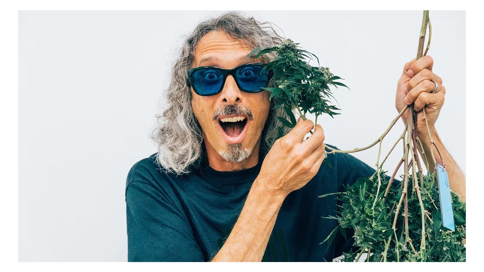 We’re Featured in Leafly’s Guide to Growing Your Own Cannabis!