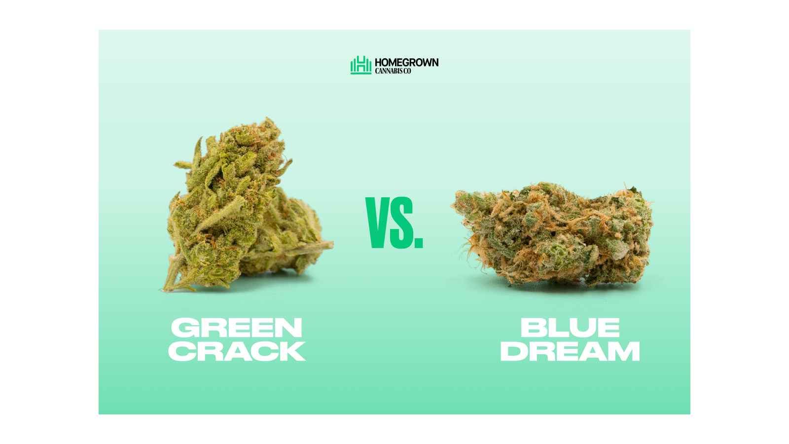 Green Crack vs. Blue Dream