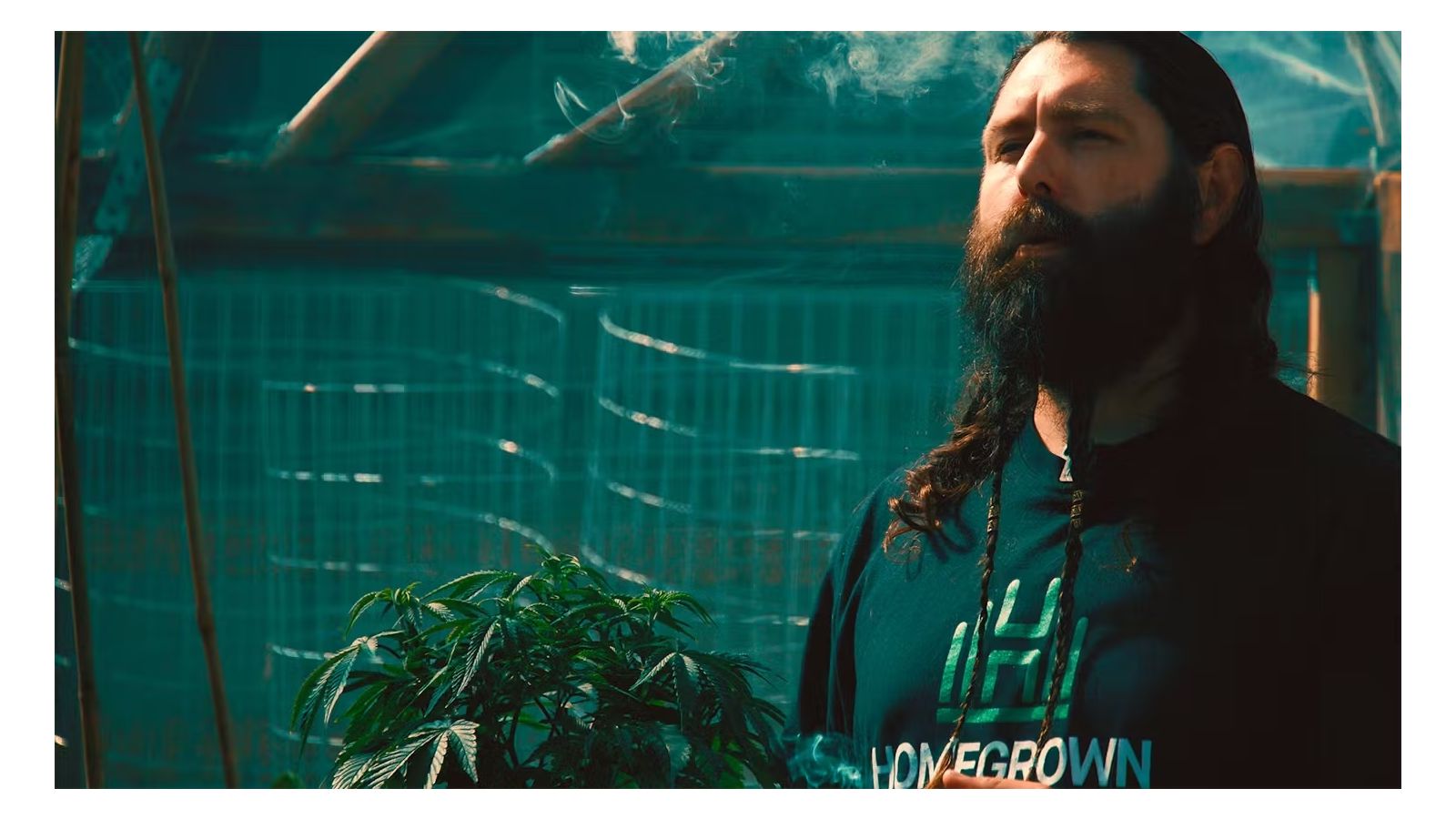 LEAFLY: Unlock Big Harvests Fast with High-Yielding Autoflowering Strains