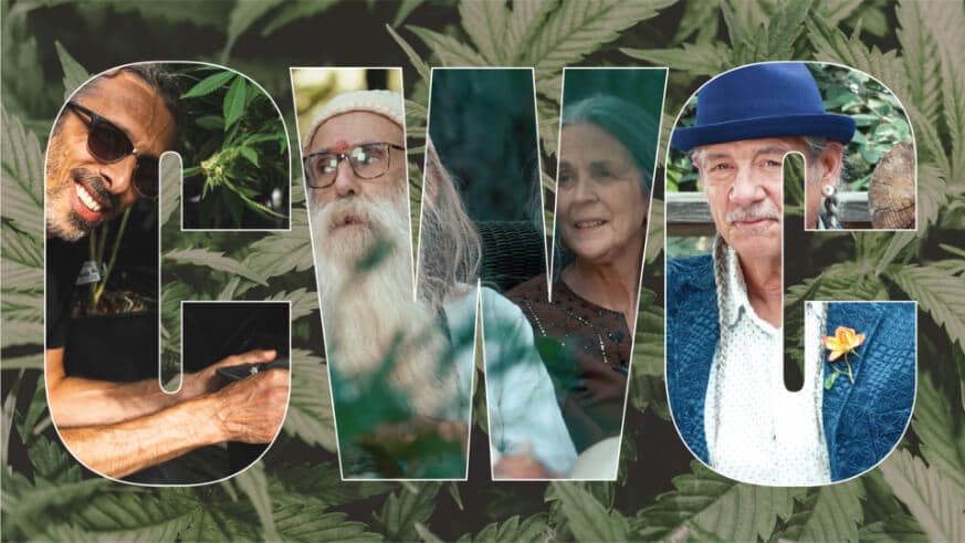 PRESS RELEASE: Homegrown Cannabis Co. Cultivars with Character