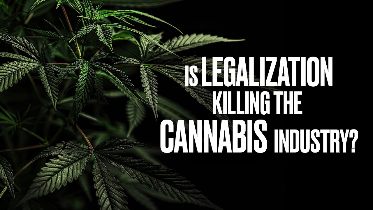 Is Legalization Killing the Cannabis Industry?