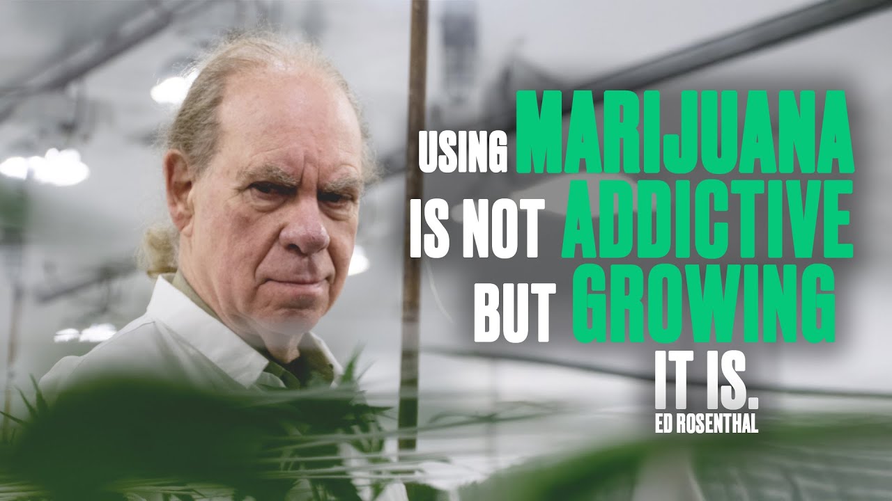 Smoking Weed is NOT Addictive
