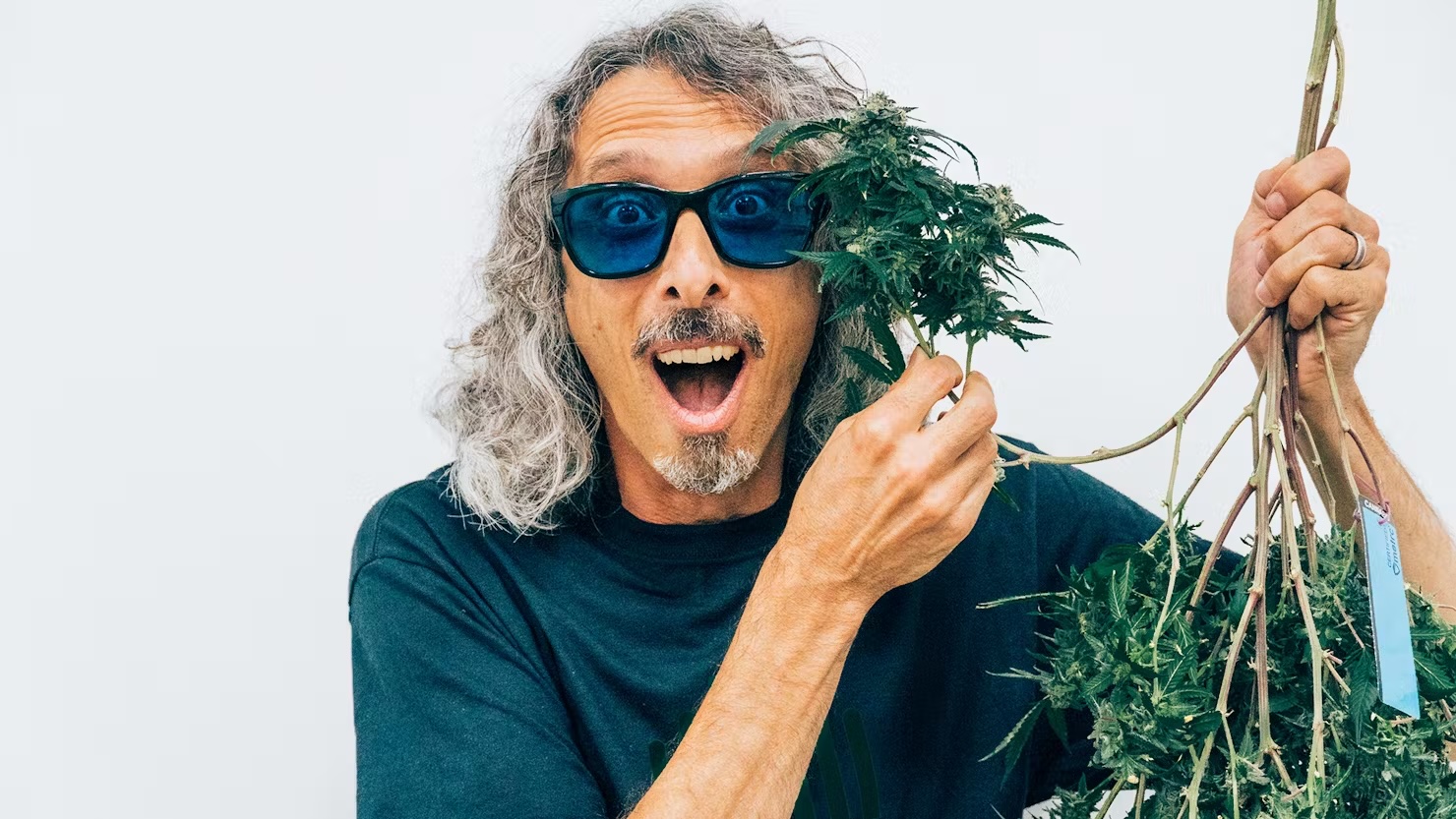 We’re Featured in Leafly’s Guide to Growing Your Own Cannabis!