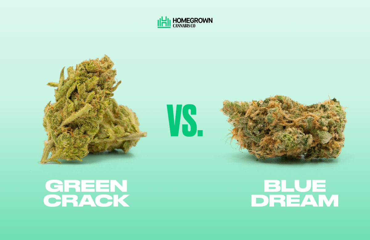 Green Crack vs. Blue Dream