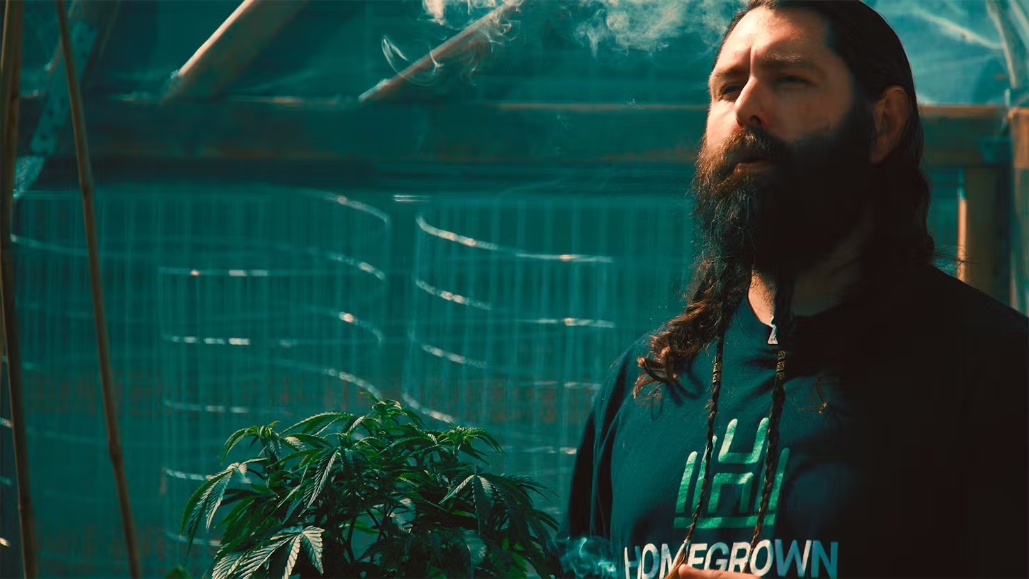 LEAFLY: Unlock Big Harvests Fast with High-Yielding Autoflowering Strains
