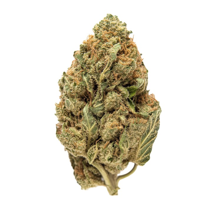 BANDAI - weed Bazooka Punch Feminized Cannabis Seeds | Homegrown