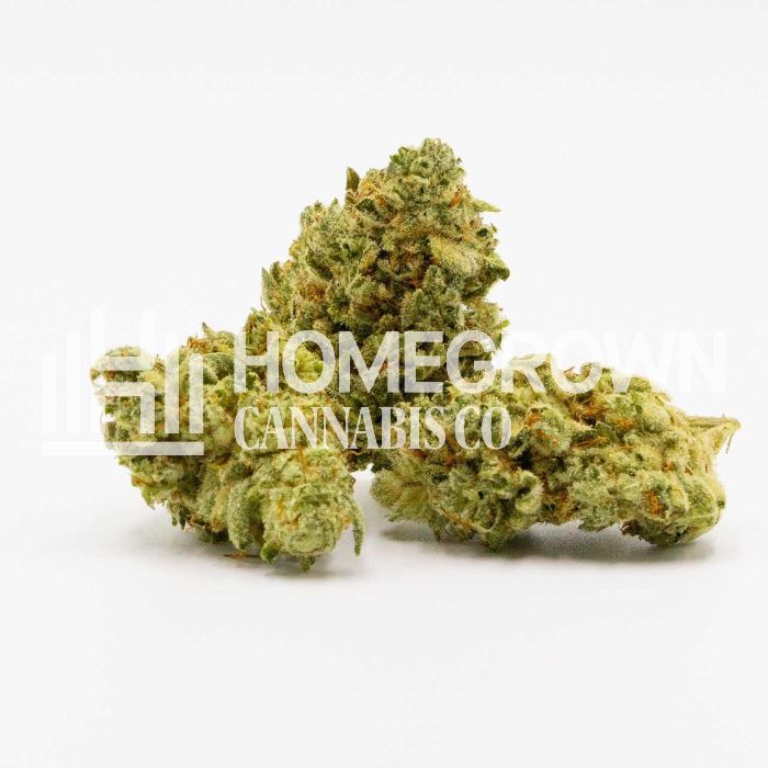 Gorilla Glue #4 Autoflower Cannabis Seeds