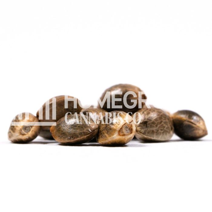 Lowryder Autoflower Cannabis Seeds