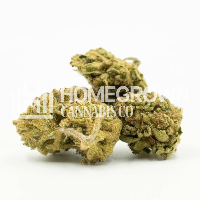 Lemon Autoflower Cannabis Seeds