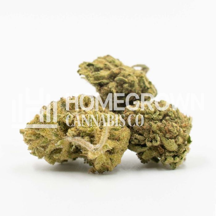 CBD OG Kush Feminized Cannabis Seeds